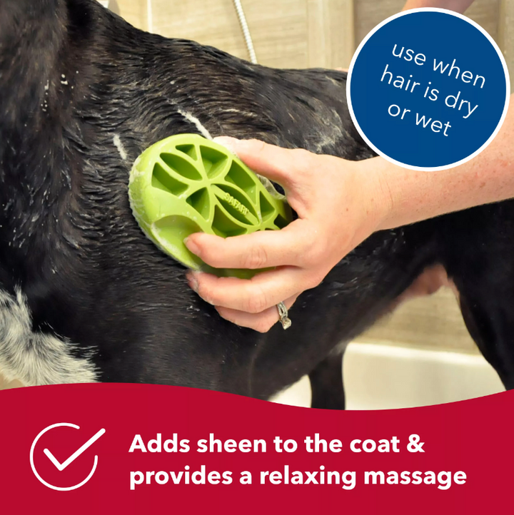 Coastal Safari Rubber Curry Dog Brush | Kanu Pet
