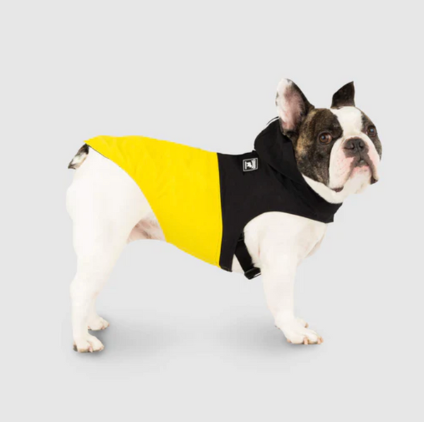 Canada Pooch Pack It Jacket Black & Yellow | Kanu Pet