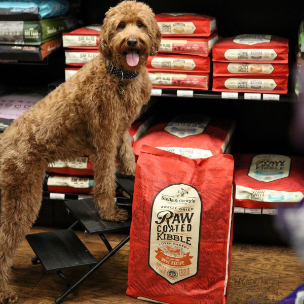 Stella & Chewy's Dog Raw Coated Freeze-Dried Dog Food | Kanu Pet