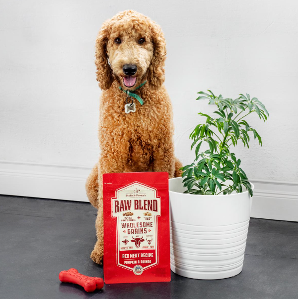 Stella & Chewy's Dog Wholesome Raw Blend Red Meat Dog Food | Kanu Pet