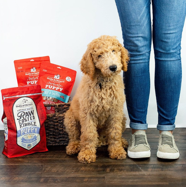 Stella & Chewy's Puppy Raw Coated Kibble Dog Food | Kanu Pet