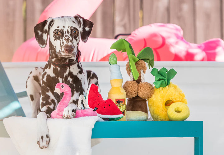 Pet Play Tropical Paradise Plush Doy Toys Collection