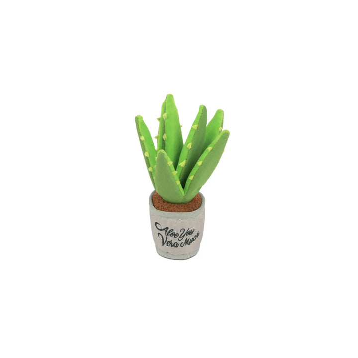 Pet Play Blooming Buddies - Aloe-ve You Plant