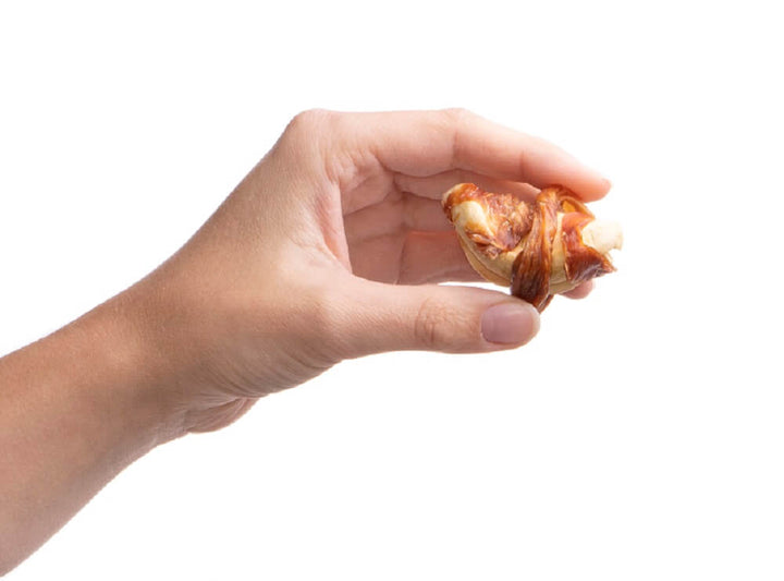 Preen Pets Chicken Breast & Apple Twists Dog Treat 4 oz