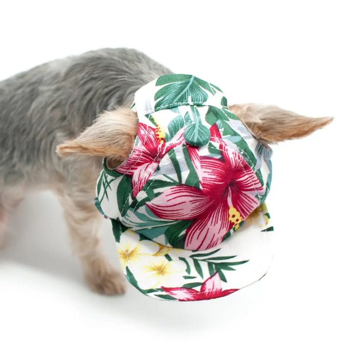 Dogo Pet Bucket Dog Hat Lemon Pink | Kanu Pet