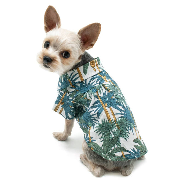Dogo Pet Tropical Leaf Dog Shirt | Kanu Pet