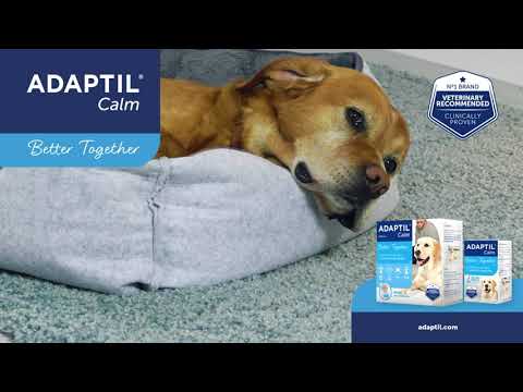 Diffuser Adaptil Plugged In Adaptil Calm Plug-in Home Diffuser Starter Kit for Dogs | Kanu Pet