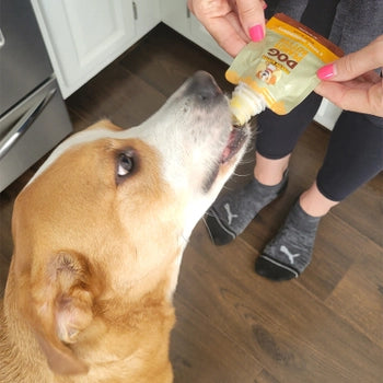 Peanut Shaped Dog Toy Filler with Peanut Butter Squeeze Pack